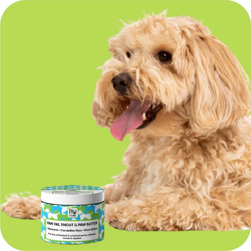 Paw Wax: The Must-Have Product for Every Dog Owner