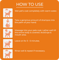 Ditch That itch Skin Shampoo